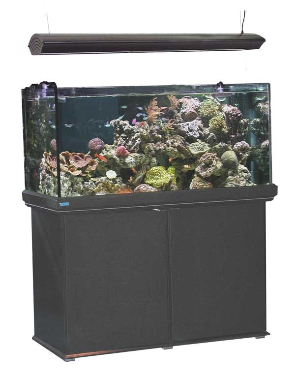 Tunze Biotope B120