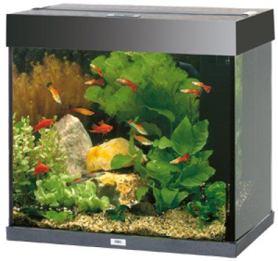 Juwel Lido 120 LED - Svart