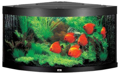Juwel Trigon 350 LED - Svart