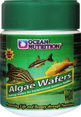 ON Algae Wafers 150g