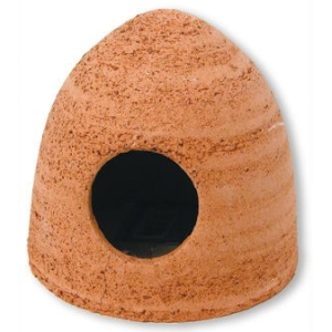 JBL Lekshule