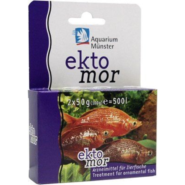 Aquarium Münster - Ektomor