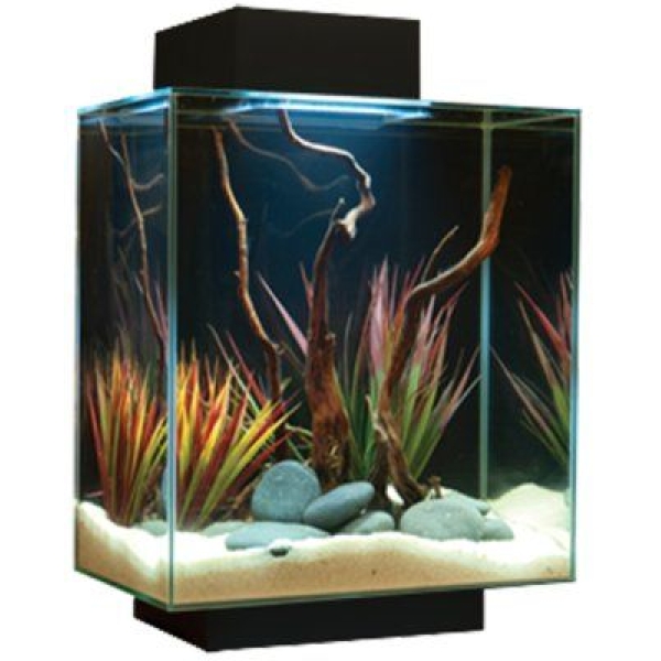 Fluval Edge LED 46L - Svart