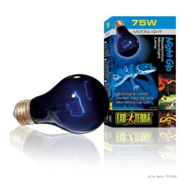 Exo Terra Night Glo 75W