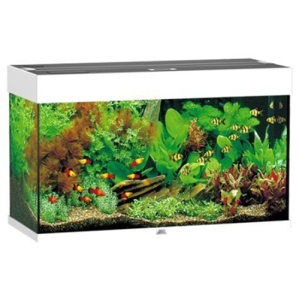 Juwel Rio 125 LED - Hvit