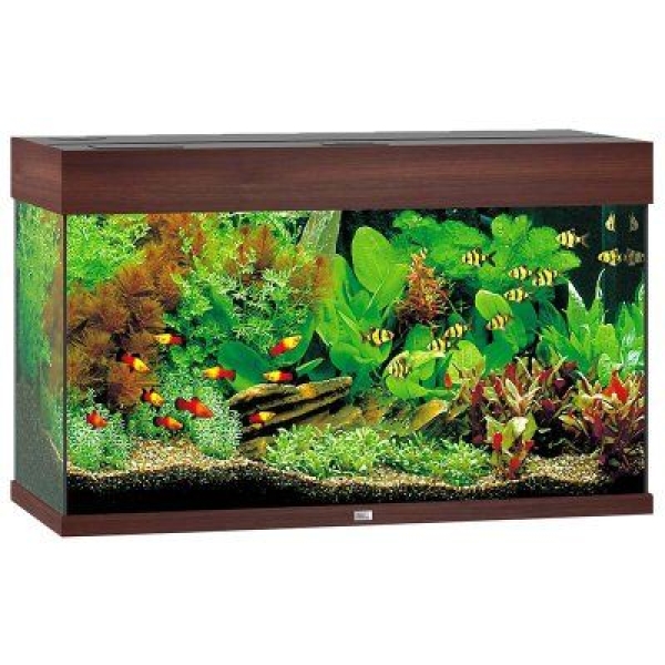 Juwel Rio 125 LED - Mørkbrun