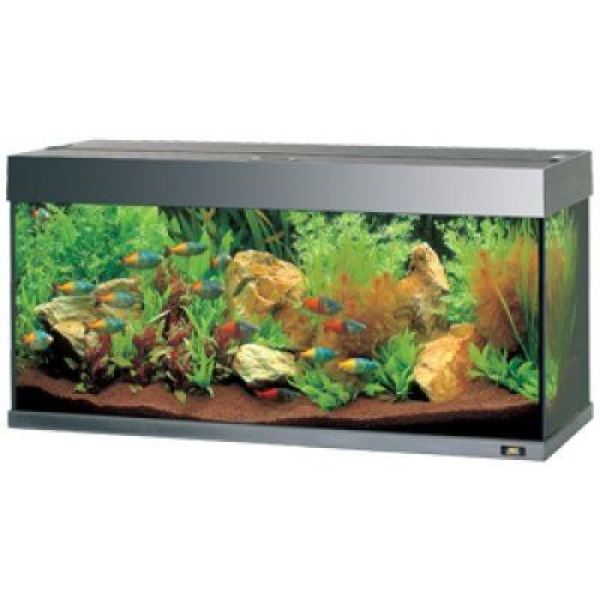 Juwel Rio 180 LED - Svart