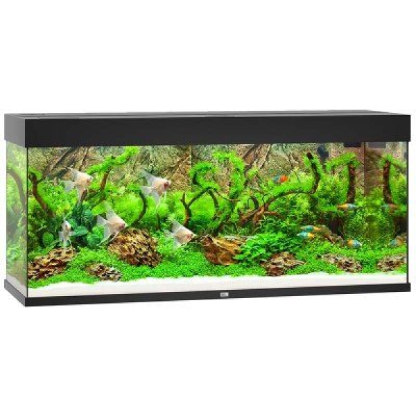 Juwel Rio 240 LED - Svart