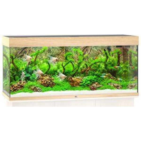 Juwel Rio 240 LED - Eik
