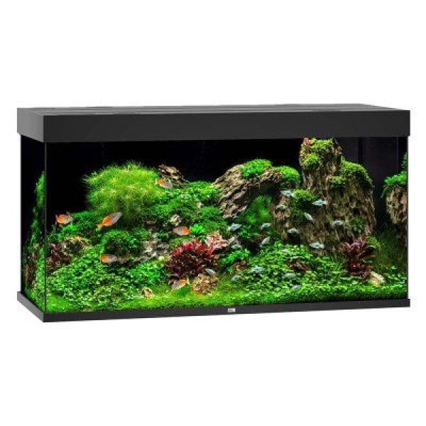 Juwel Rio 350 LED - Svart