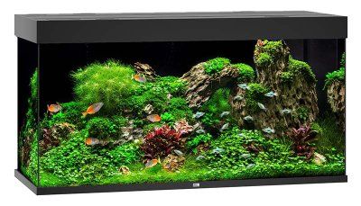 Juwel Rio 350 LED - Svart