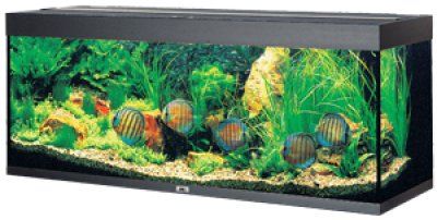 Juwel Rio 450 LED - Svart