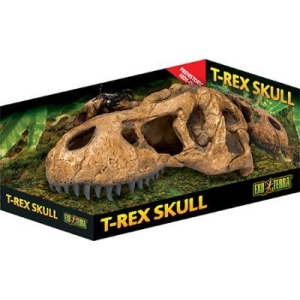 Exo Terra T-Rex Skull