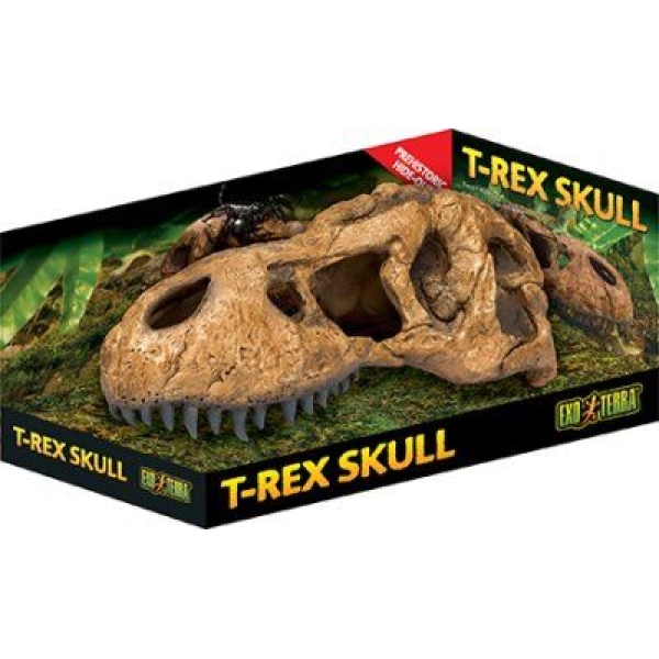 Exo Terra T-Rex Skull