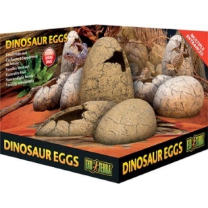 Exo Terra Dinosaur Eggs