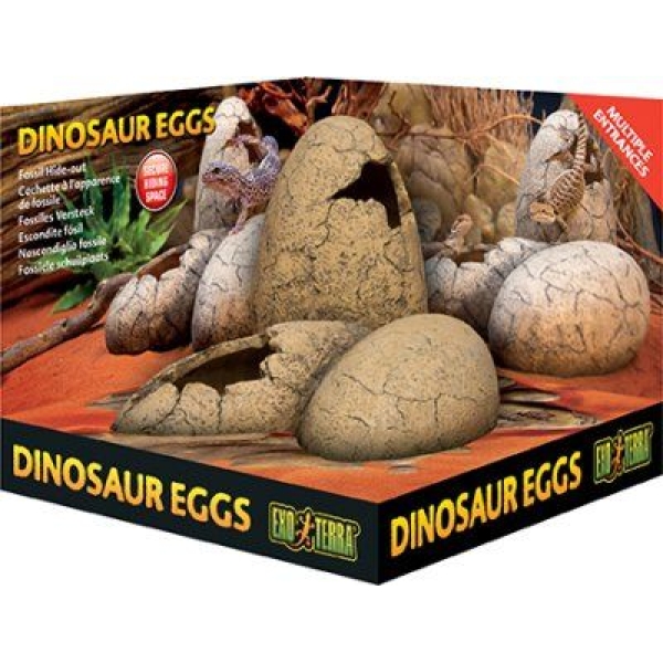 Exo Terra Dinosaur Eggs