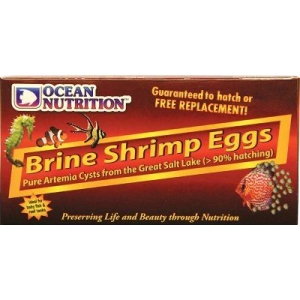 ON Brine Shrimp Eggs 50g