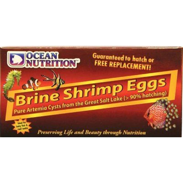 ON Brine Shrimp Eggs 50g