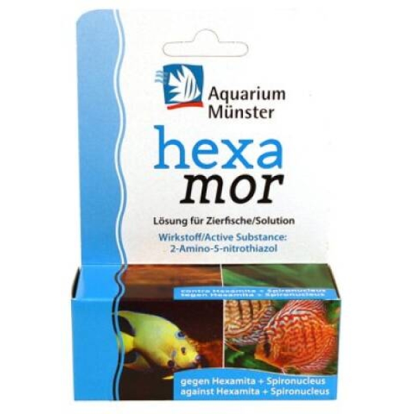 Aquarium Münster - Hexamor 20ml