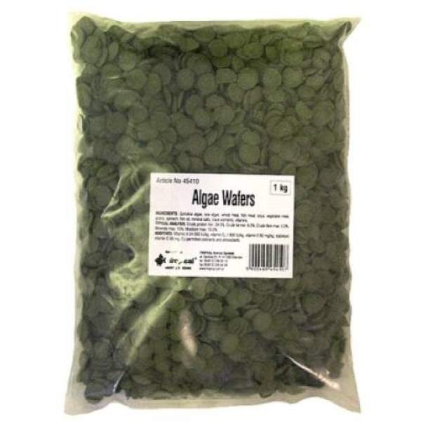 Tropical Green Algae Wafers 1kg - Pose