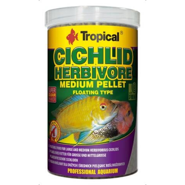 Tropical Cichlid Herbivore M 1L