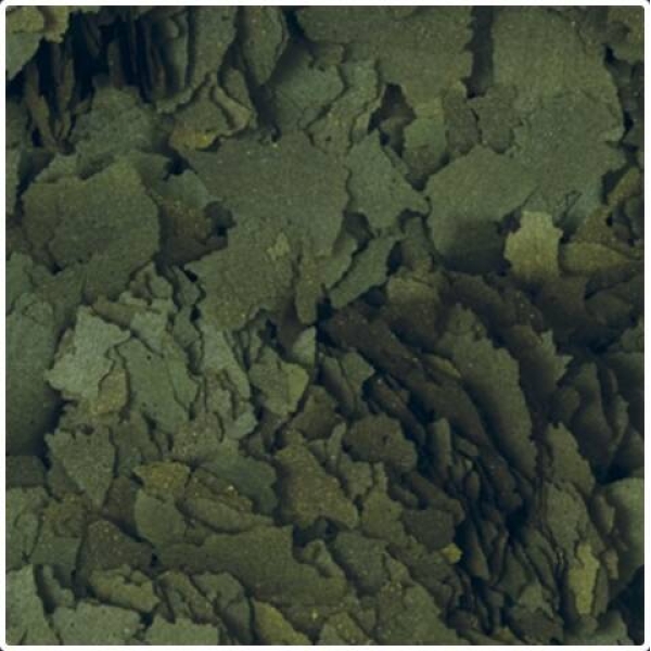 Tropical Super Spirulina Forte 1kg - Pose