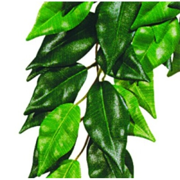 Exo Terra Ficus - M