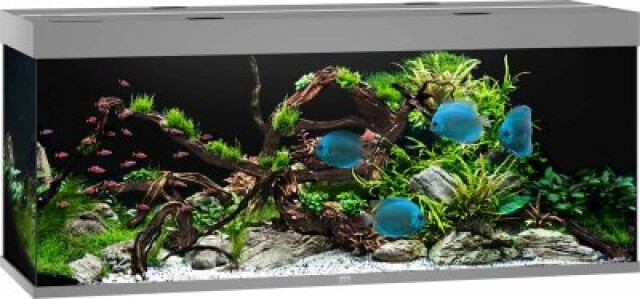 Juwel Rio 450 LED - Grå