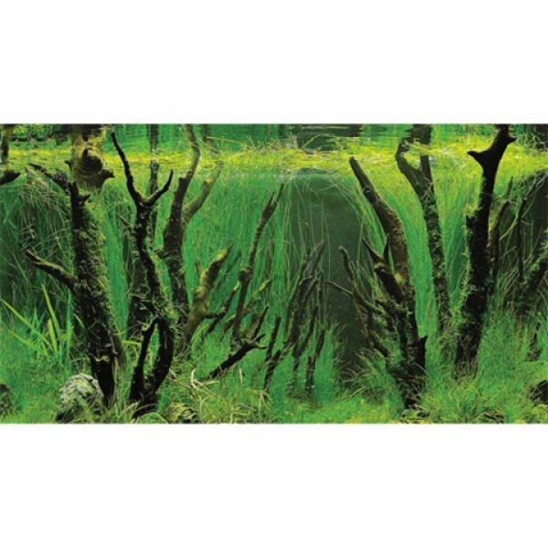 Canyon/woodland 30cm - Bilde 2