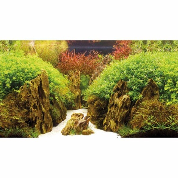 Canyon/woodland 30cm - Bilde 3