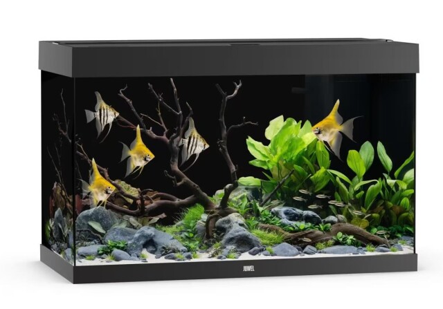 Juwel Rio 290 LED - Svart