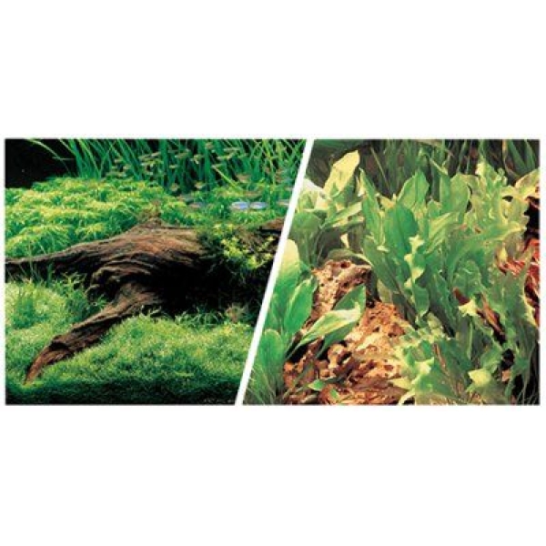 Plante - Plante 31cm