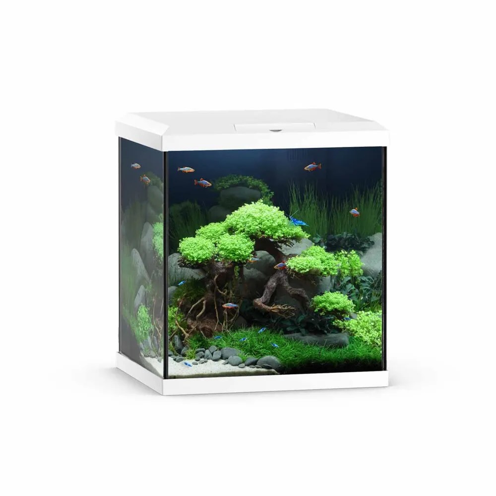 Juwel Vio Cube 54L – Hvit
