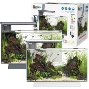 Superfish Quadro 40 Multi Color Svart - 28L
