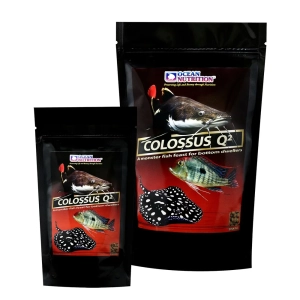 ON Colossus Q2 Sinking 500g